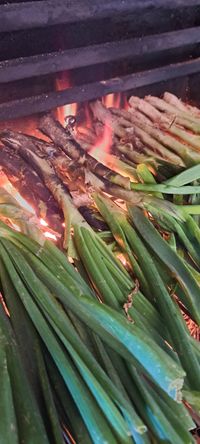 calcot2_120921